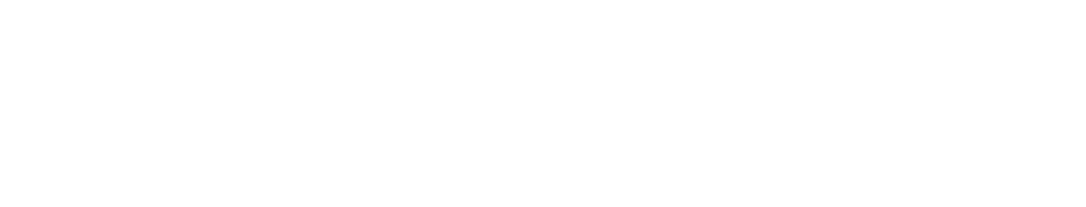 SentinelOne Logo Transparent White