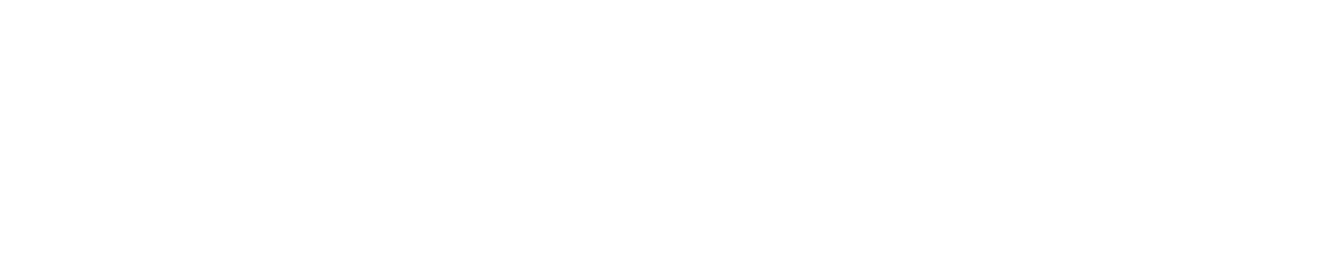 OPNsense Logo in white